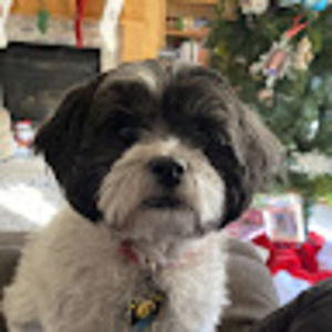 Meet your Posher, Carley